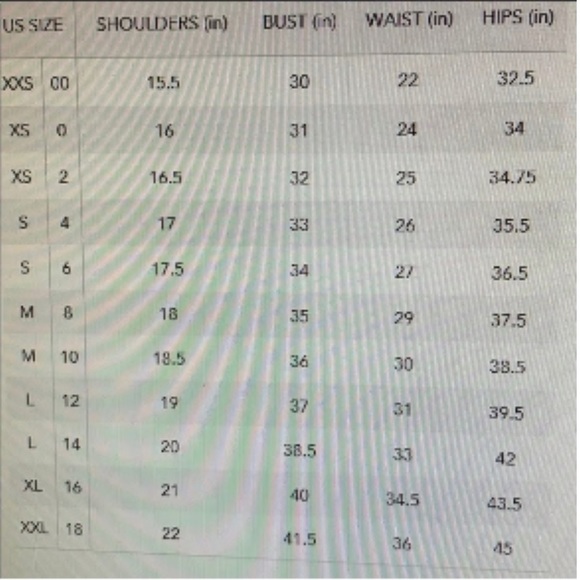 NWT Adrianna Papell Rosa Lace Trumpet Dress size 16 - Picture 3 of 8